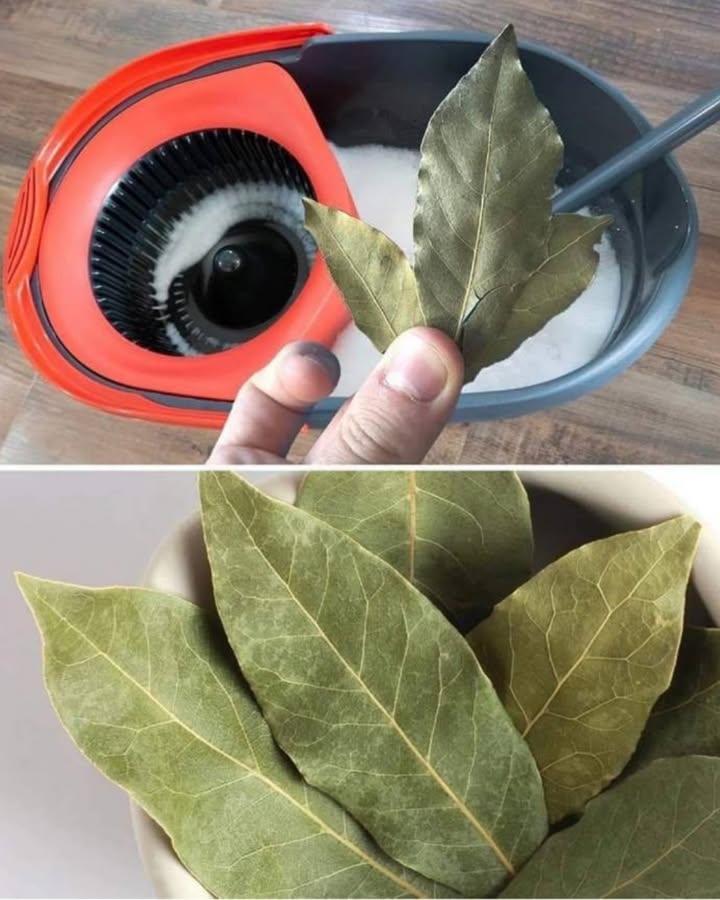 Pulizia Fresca Naturale