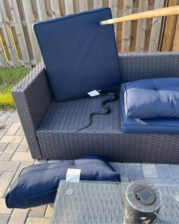 Repellenti Naturali Serpenti